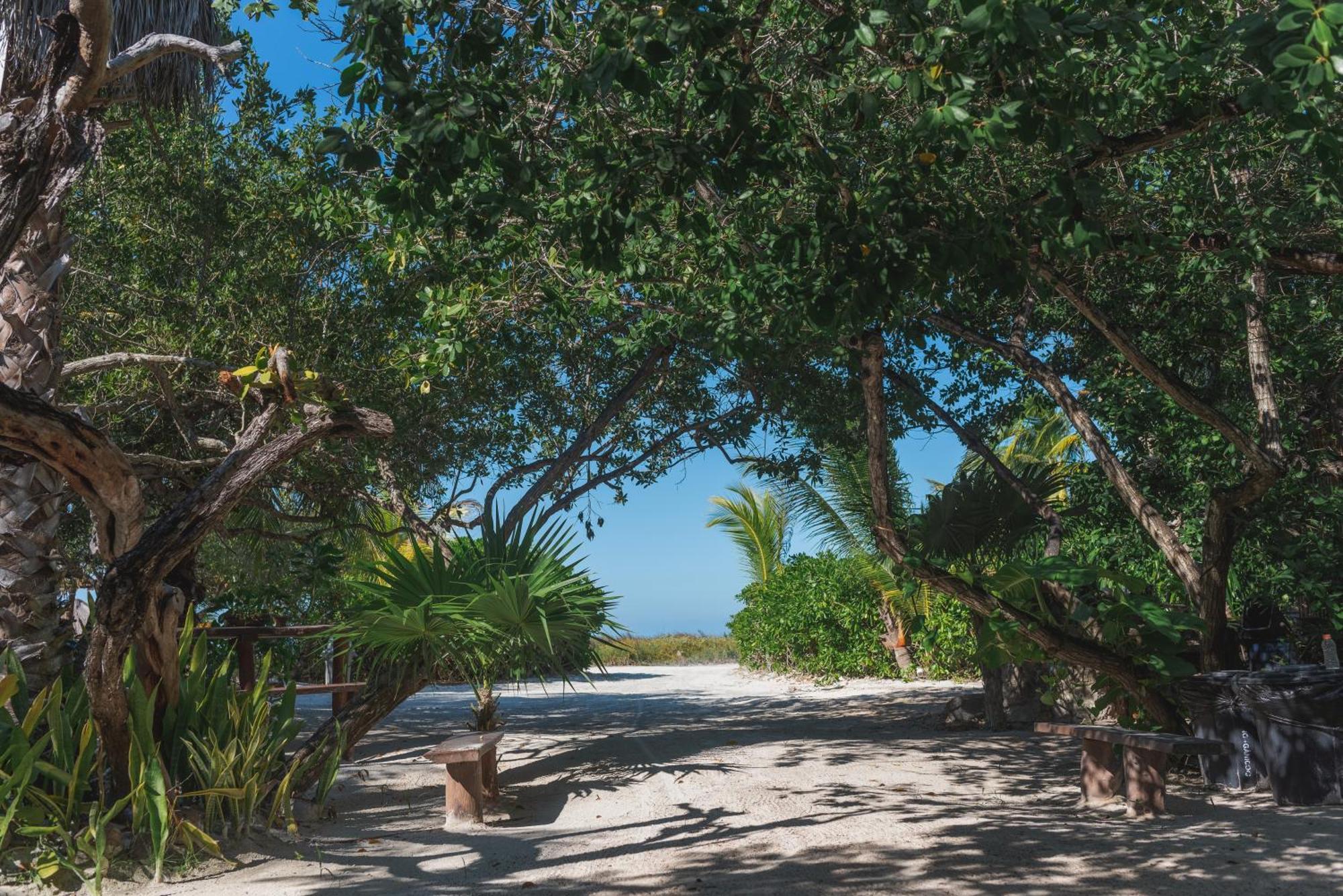 Hotel Casa Takywara Isla Holbox Exterior foto